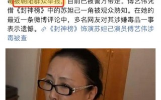 北京卉科技有限公司 李云迪嫖娼被拘后，多个品牌紧急澄清合作关系，有节目全部下架