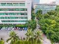 东方科技园华科大厦 深圳赫美集团股份有限公司 关于破产重整处置公司资产的进展公告