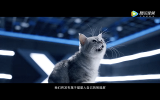 深圳狸猫科技 “狸猫”黑科技！皇宫大挪移背后的真相