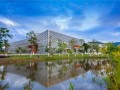 南方电子科技大学 电网“黑科技”获全网百万点赞