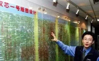 时代全芯科技 骗局揭秘 骗取11亿研发资金！让“中国芯”停滞13年的陈进，都做了什么？
