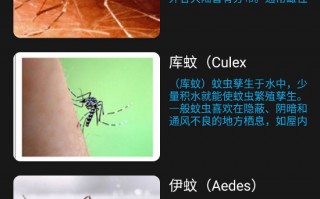 手机软件如何驱蚊子 用手机软件就能驱蚊？记者实测：软件开启靠近蚊子十几秒纹丝未动