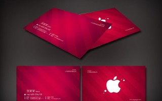 ios名片软件下载 苹果AppStore年度推荐摄影类app：它完全是中国的｜另附多款应用推荐