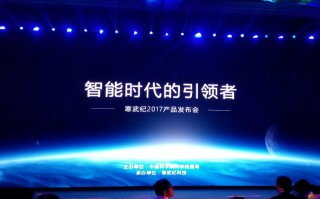 寒武纪科技 寒武纪：科技光环下的真实困境与投资争议