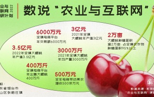 樱桃科技 产经相对论｜第42期：“大樱桃”产业蝶变：科技与电商的乘数效应