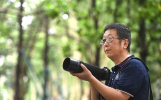 华中科技大学帆布包 华中大教授8年为校园野鸟拍写真，他把浪漫带给工科学生